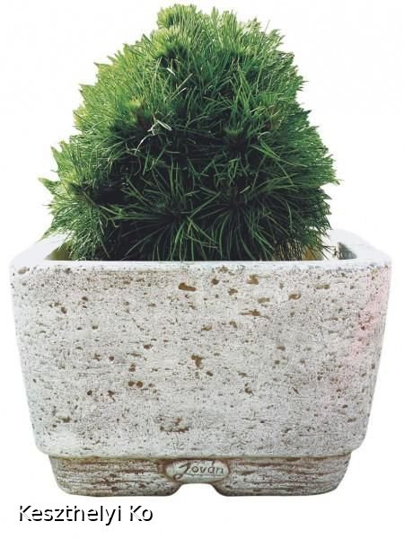kö virágtartók,beton virágtartók,kaspó,balkonláda,virágláda,virágtartó,kaspó